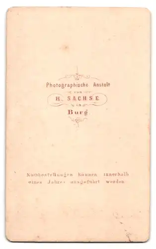 Fotografie H. Sachse, Burg, ältere Dame im eleganten Kleid