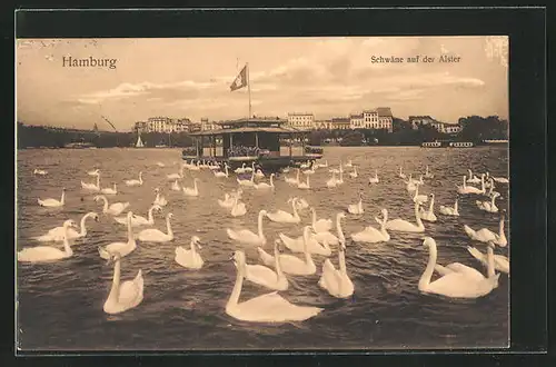 AK Hamburg-Uhlenhorst, Alsterpartie mit Schwänen