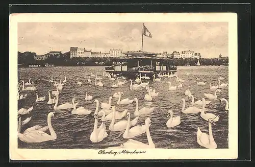 AK Hamburg-Uhlenhorst, Alsterschwäne