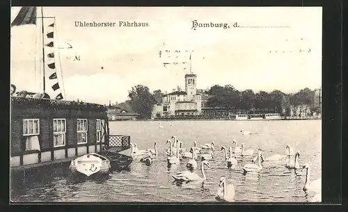 AK Hamburg-Uhlenhorst, Schwanenpartie am Uhlenhorster Fährhaus