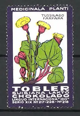 Reklamemarke Tobler Suisiana Lakto Chokolade, Medicinala Planti: Tussilago Farfara, Serie XIX, No. 218