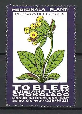 Reklamemarke Tobler Suisiana Lakto Chokolade, Medicinala Planti: Primula Officinalis, Serie XIX, Bild 223