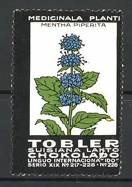 Reklamemarke Tobler Suisiana Lakto Chokolade, Medicinala Planti: Mentha Piperita, Serie XIX, Bild 228
