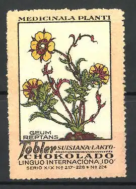 Reklamemarke Tobler Suisiana Lakto Chokolade, Medicinala Planti: Geum Reptans, Serie XIX, Bild 224