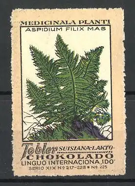 Reklamemarke Tobler Suisiana Lakto Chokolade, Medicinala Planti: Aspidium Filix Mas, Serie XIX, Bild 225