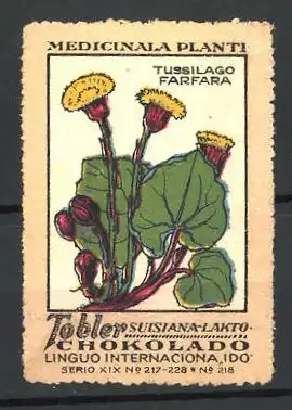 Reklamemarke Tobler Suisiana Lakto Chokolade, Medicinala Planti: Tussilago Farfara, Serie XIX, Bild 218