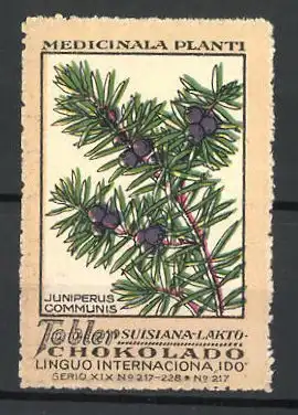 Reklamemarke Tobler Suisiana Lakto Chokolade, Medicinala Planti: Juniperus Communis, Serie XIX, Bild 217