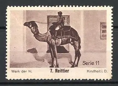 Reklamemarke Werk der hl. Kindheit i. D., Serie 11, Bild 7, Reittier