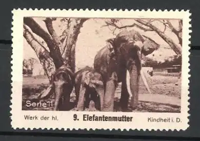 Reklamemarke Werk der hl. Kindheit i. D., Serie 11, Bild 9, Elefantenmutter