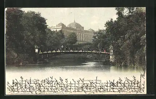 AK Hamburg-St. Pauli, Im Botanischen Garten