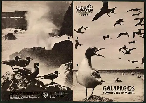 Filmprogramm PFP Nr. 32 /64, Galapagos - Trauminseln im Pazifik, Regie: Heinz Sielmann, Dokumentarfilm
