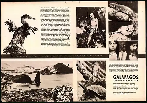 Filmprogramm PFP Nr. 32 /64, Galapagos - Trauminseln im Pazifik, Regie: Heinz Sielmann, Dokumentarfilm