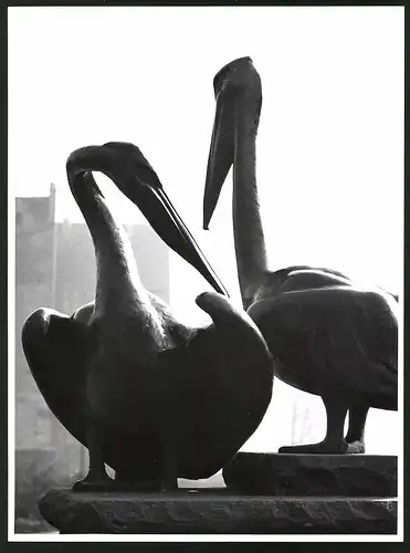 Fotografie Albin Müller, Hamburg-Altona, Schützenstrasse 61, Ansicht Hamburg-Altona, Pelikan-Plastik bei der Hauptkirche