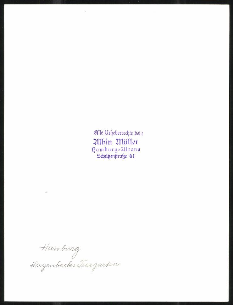 Der Artikel mit der oldthingid 41230126 ist aktuell ausverkauft.