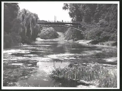 Fotografie Albin Müller, Hamburg-Altona, Schützenstrasse 61, Ansicht Hamburg, Stadtgraben mit Brücke