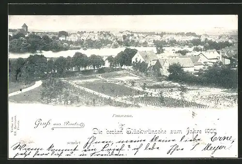 AK Preetz, Panoramablick auf den Ort, Neujahrsgruss 1900
