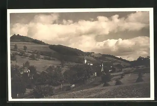 Foto-AK Michelbach /Gerolstein, Teilansicht mit Kirche 1929