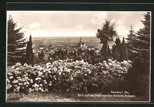 AK Kamenz i. Sa., Blick auf die Stadt von den Hutberg-Anlagen