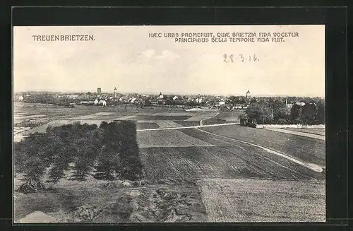 AK Treuenbrietzen, Fernansicht der Stadt mit Felder