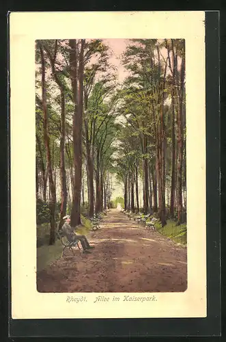 AK Rheydt, Allee im Kaiserpark