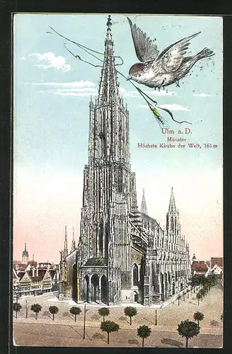 AK Ulm /Donau, Kirche Münster, Ulmer Spatz