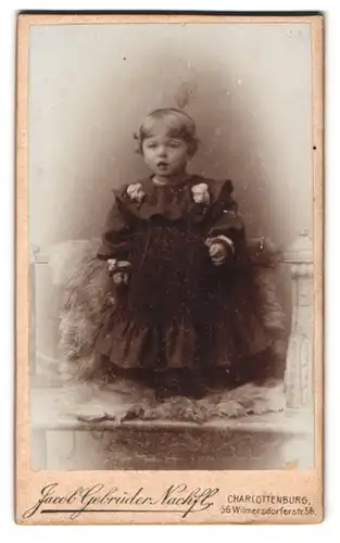 Fotografie Jacob Gebrüder Nachfl., Berlin-Charlottenburg, Wilmersdorfer-Strasse 56, Portrait kleines Mädchen im Kleid