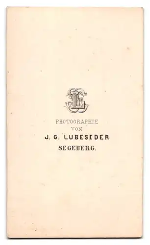 Fotografie J. G. Lubeseder, Segeberg, Portrait charmanter junger Mann mit Bart in Fliege und Jackett