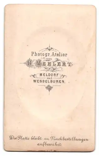 Fotografie H. Mehlert, Meldorf, Portrait junger Mann mit Zwicker und lockigem Haar