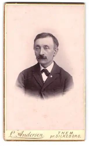 Fotografie L. Andersen, Silkeborg, Portrait stattlicher Herr im Anzug