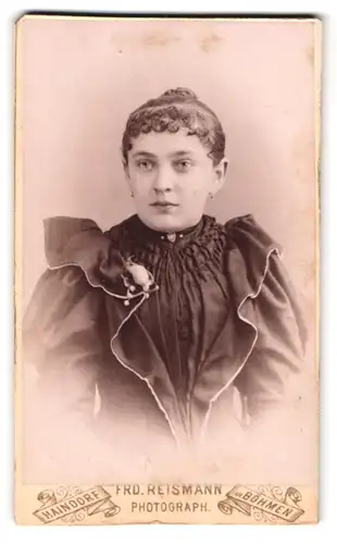 Fotografie Friedr. Reismann, Haindorf / Böhmen, Portrait bildschönes Fräulein in prachtvoll gerüschter Bluse