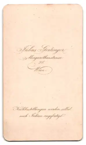 Fotografie Julius Gertinger, Wien, Margarethenstrasse 28, Portrait eines Mannes mit Vollbart und Fliege