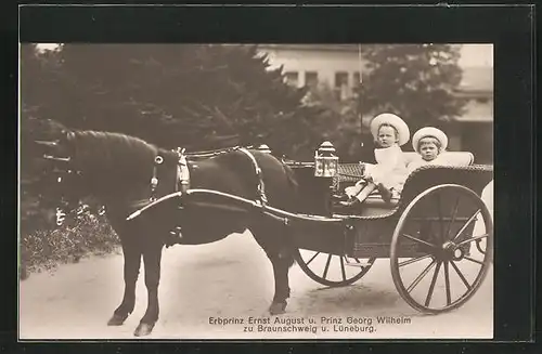 AK Erbprinz Ernst August und Prinz Georg Wilhelm von Braunschweig in einem offenem Einspänner