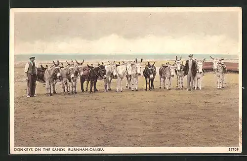 AK Burnham-on-Sea, Donkeys on the sands, Esel am Strand