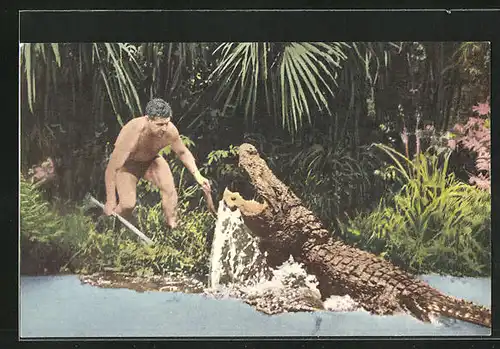 AK Silver Springs, Ross Allen`s Reptile Institute, Alligator Big George kommt medienwirksam aus dem Wasser