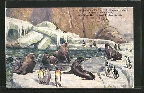 Künstler-AK Hamburg-Stellingen, Carl Hagenbecks Tierpark, Bassin für Walrosse, Seelöwen und Pinguine