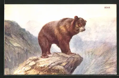 Künstler-AK Braunbär an einer Felsklippe
