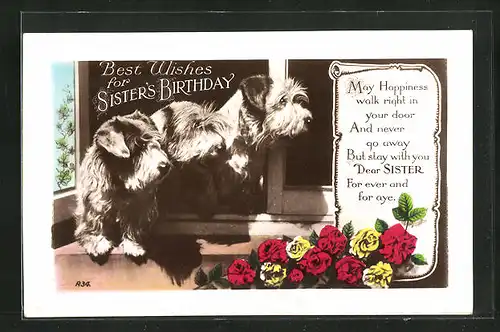 Präge-AK Drei Terrier am Fenster und Blumen, Geburtstagsgruss