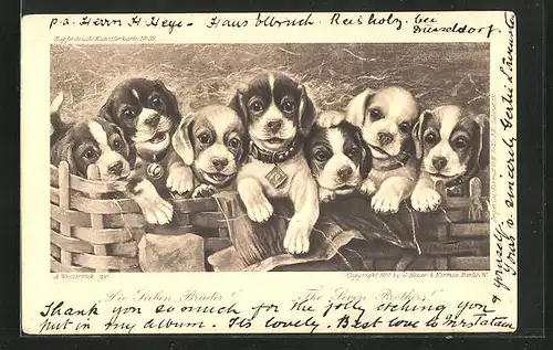 AK Die Sieben Brüder, Sieben kleine Terrier an einem Zaun