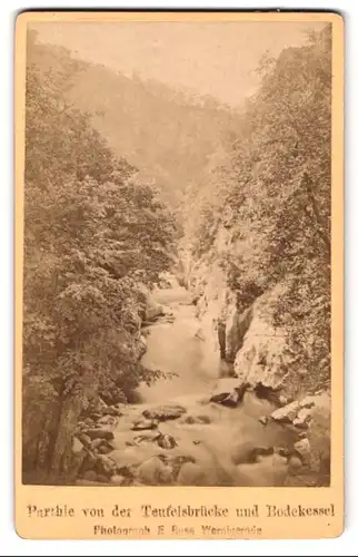 Fotografie E. Rose, Wernigerode, Ansicht Thale, Partie von der Teufelsbrücke und Bodekessel