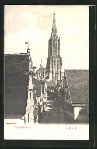 AK Ulm a. D., Walfischgasse mit Münster