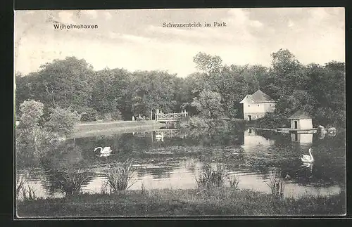 AK Wilhelmshaven, Schwanenteich im Park