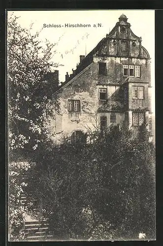 AK Hirschhorn a. N., Schloss mit Bäumen und Büschen