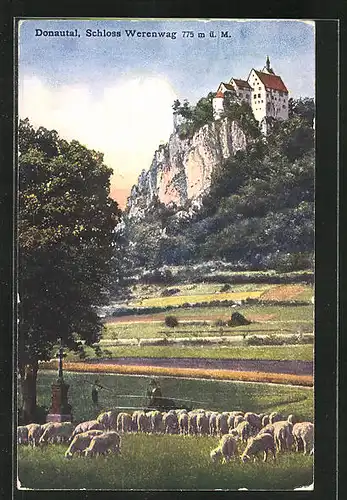 AK Beuron /Donautal, Schloss Werenwag