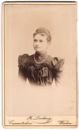 Fotografie Herm. Ludwig, Crimmitschau, Lindenstr., Portrait Dame mit Hochsteckfrisur in plissiertem Kleid