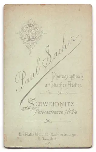 Fotografie Paul Sacher, Schweidnitz, Petersstrasse 24, Portrait junge Dame im modischen Kleid