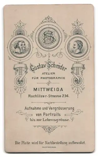 Fotografie Gustav Schröder, Mittweida, Rochlitzer-Strasse 234, attraktives Fräulein in Puffärmelkleid