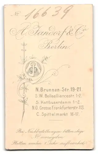 Fotografie A. Jandorf & Co., Berlin, Brunnen-Strasse 19-21, bürgerliche Dame in Rock und Bluse