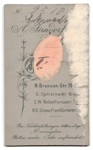 Fotografie A. Jandorf & Co., Berlin, Brunnen-Strasse 19-21, junger Herr in Anzug und Krawatte