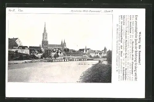 AK Ulm, Donaupartie gegen Münster