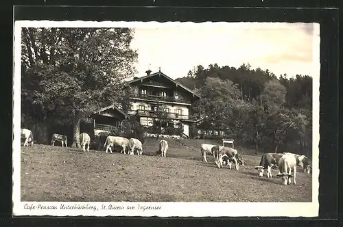 AK St. Quirin /Tegernsee, Cafe-Pension Unterbuchberg